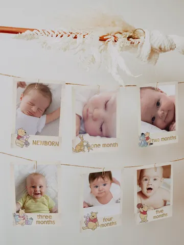 Editable Photo Banner one year garland Winnie the Pooh First Birthday Photo Banner Garland; Hundred Acre Wood Party; Instant Download; wpg13