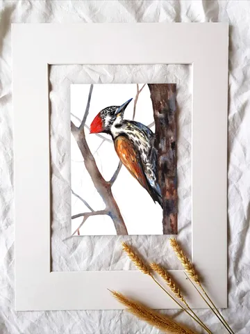 Woodpecker Bird Watercolour, bird painting, wall decor, birds lover gift, 8x11 in handmade art by Anne Gorywine $52.00