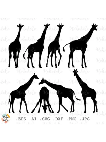 Giraffe Svg, Giraffe Silhouette, Giraffe Cricut files, Giraffe Stencil Dxg, Giraffe Clipart Png, Giraffe Template Dxf $4.50
