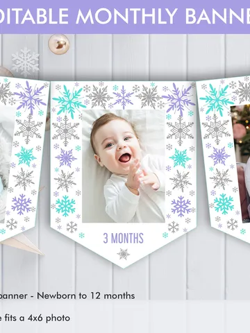 Winter Onederland Monthly Photo Banner Purple Silver Winter Onederland 1st Birthday Girl Decorations 1st Birthday Garland Editable Template $6.00