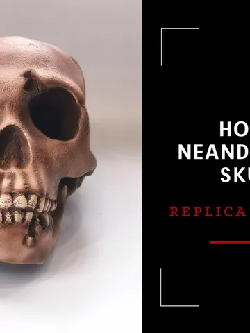 Homo Neanderthal Skull Replica, Prehistoric Fossil Collection, Realistic Hominid Skull $379.98