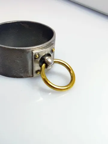 Ring Collar.
Silver Brass. $70.00