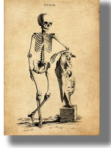 An imposing skeleton. $21.00
