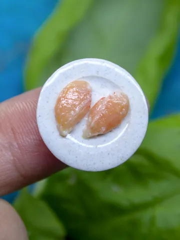 TUTORIAL Miniature raw chicken breast with polymer clay $11.00