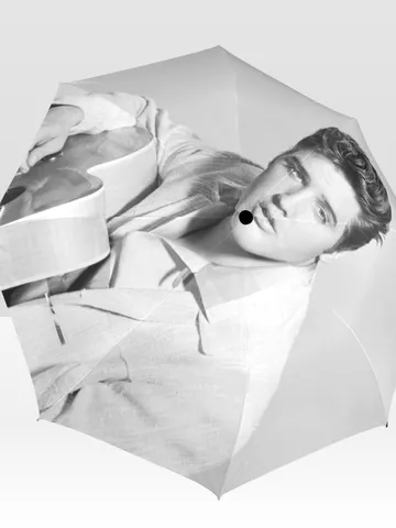 Elvis Presley Umbrella $44.97
