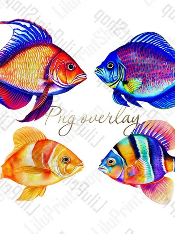 Fish png clipart, Watercolor clipart png, Sea clip art Tropical fish overlay Nautical colorful Instant download $2.71