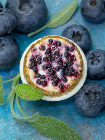 TUTORIAL Miniature blueberry cheesecake with polymer clay | PDF + video