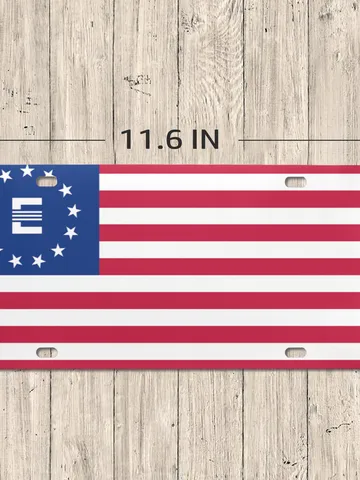 Enclave Fallout License Plate $24.97