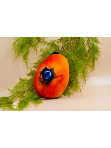 Big mysterious egg - mango