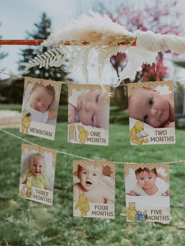 Photo Birthday Banner Winnie the Pooh Birthday Party; Winnie Pooh 1st Birthday; Editable Birthday Banner;Birthday Party Decoration Pooh hc12 $11.62