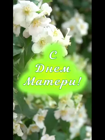 Video Congratulations on Mother's Day (free and to order) $0.00