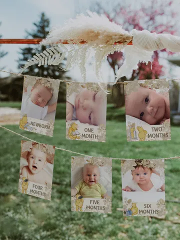 Photo Birthday Banner Winnie Pooh Birthday Party; Winnie Pooh 1st Birthday; Editable Birthday Banner; Birthday Party Decoration Pooh flw12 $11.62