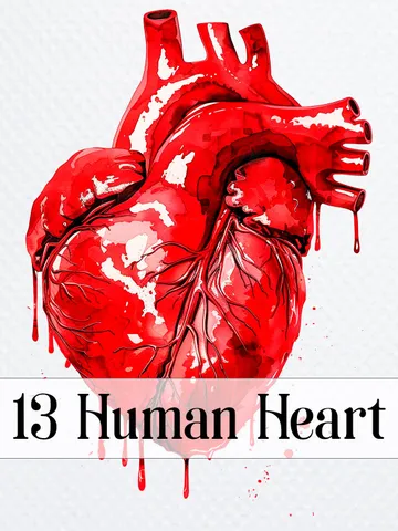 13 Human Heart PNG Bundle, Heart Anatomy, Printable Watercolor clipart for sublimation, Digital download, Paper craft, junk journals $2.64