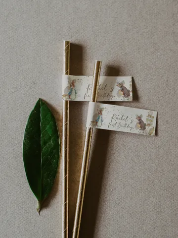 Editable Straw tag Peter Rabbit First Birthday party decoration; Peter Rabbit Party; Classic Peter Rabbit Party Birthday ; pr1 $10.45