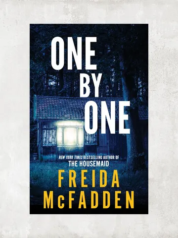 One by One / by Freida McFadden / Digital Book $1.95