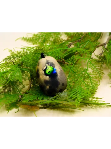 Small mysterious egg - potato