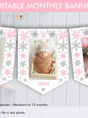 Winter Onederland Monthly Photo Banner Pink Silver Winter Onederland 1st Birthday Girl Decorations 1st Birthday Garland Editable Template $6.00