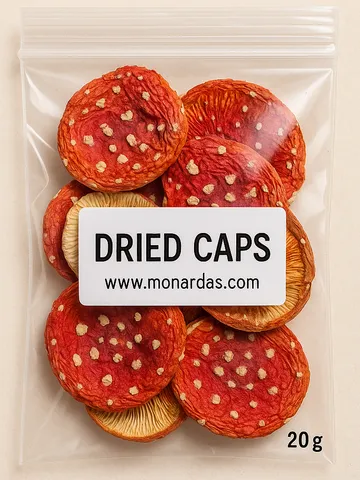 Red Spotted Amanita|20g Premium Dried Mushrooms