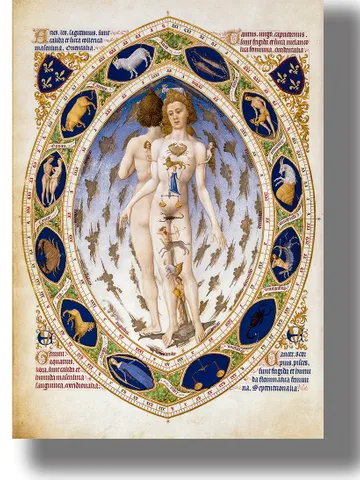 Human anatomy or signs of the zodiac. $21.00