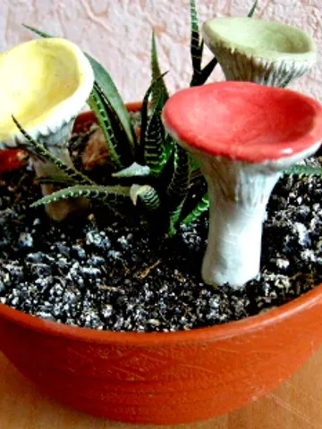 Set of 3. Ceramic russula. Mushroom Planter Decoration $30.00