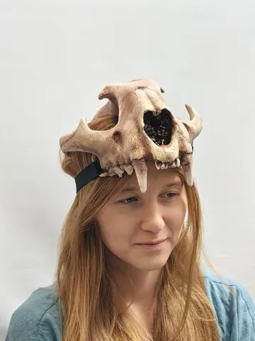 Lynx Skull Crown | Cat Skull Helmet | Realistic Animal Skull on head | tribal headpiece | Headpiece skull | ritual mask | pagan $267.95