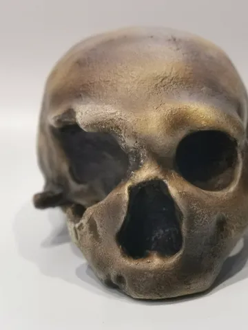 Homo Neanderthal from Monte Circeo 1 Skull Replica, Prehistoric Fossil Collection, Realistic Hominid Skull, Museum Quality $347.64
