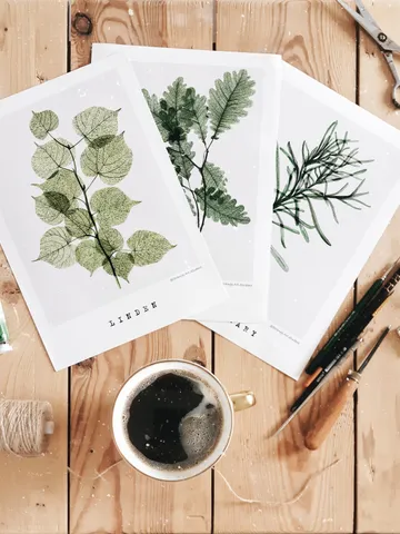Watercolor posters TRANSPARENT PLANTS size (8"x11") 21x30cm