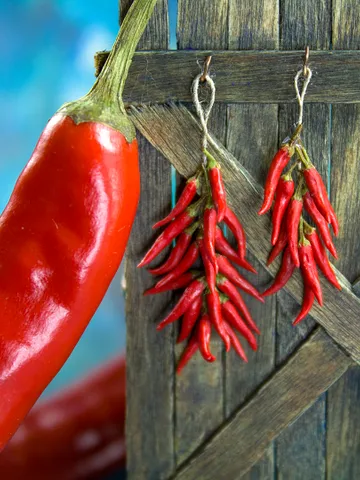 TUTORIAL miniature chili pepper with polymer clay $10.00
