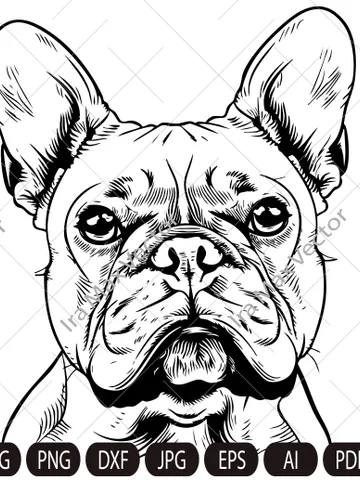 French Bulldog Svg,French Bulldog head,French Bulldog face,Frenchie svg,funny dog clipart,pet face, Bulldog breed ,Frenchie Clipart Print $3.50
