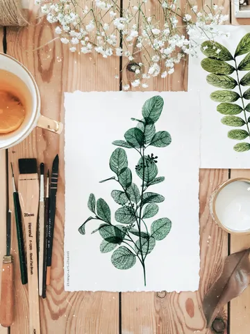 Watercolor print EUCALYPTUS, transparent plant illustration 21x30cm (8"x11") $26.00