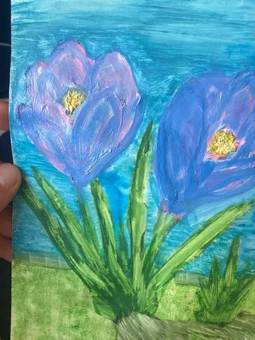 Crocuses $89.00