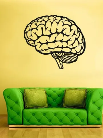 Brain Wall Decal School Classroom Decoration Sticker z1751 $23.99