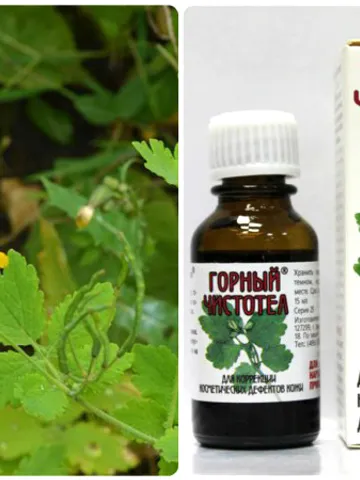 Mountain celandine for warts, papillomas, condylomas, calluses, corns, for the correction of cosmetic skin defects 15 ml $49.98