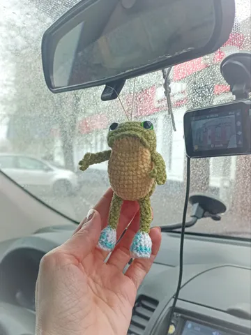 Little toad suspension in the car