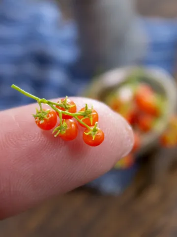 TUTORIAL Miniature polymer clay cherry tomato $10.00