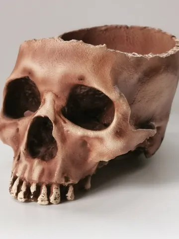 Skull Planter, Human Skull Bowl, Skeleton Bowl, Skull Decoration, Skull Pot, Halloween Bowl, Realistic Human Size Skull Replica Bowl