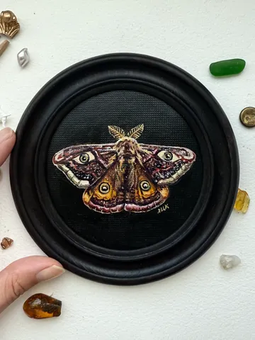 Moth Painting Original Gold Frame Art Round Oil Painting Small Dark Academia Original Painting Dark Framed $199.00