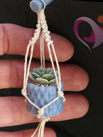 Cute Succulent Magnet Boho Plant Decor for Fridge Locker Perfect Gift for Plant Lovers $8.49