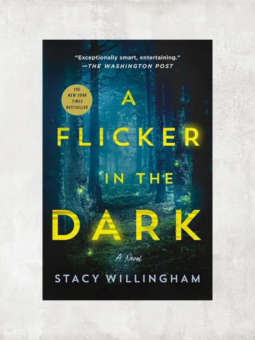 A Flicker in the Dark: A Novel / by Stacy Willingham / Digital Book $1.95