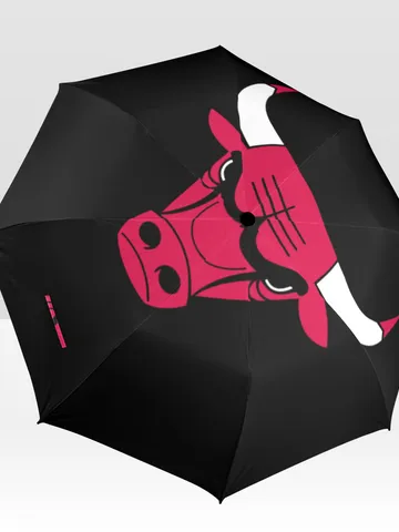 Chicago Bulls Umbrella $44.97