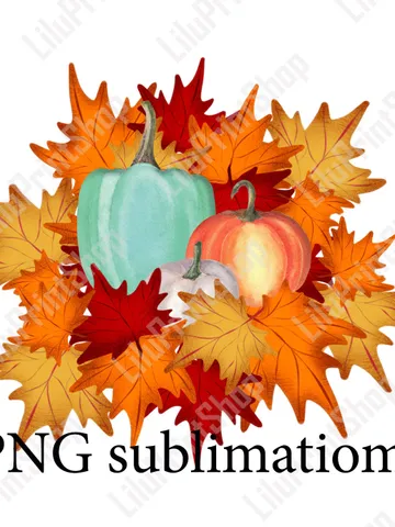Pumpkin png Autumn clipart Fall clipart png Pumpkins and maple leafs sublimation design digital Hand drawn pumpkins clipart Fall sublimation $2.71