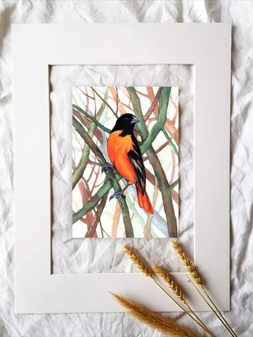 Baltimore Oriole Bird Watercolour, bird painting, wall decor, birds lover gift, 8x11 in handmade art by Anne Gorywine $58.00