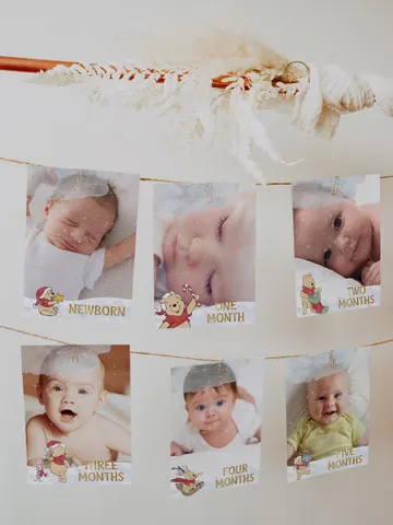Editable Photo Banner one year garland Winnie the Pooh First Birthday Photo Banner Garland; Hundred Acre Wood Party; Download; xpooh1