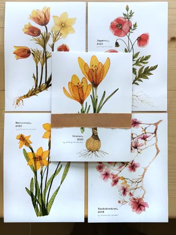 Postcards TRANSPARENT FLOWERS (white), Set of 5 cards