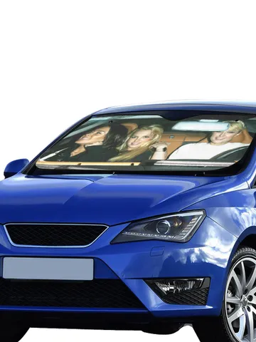 Paris Hilton Linsay Lohan Britney Spears Car SunShade $39.97