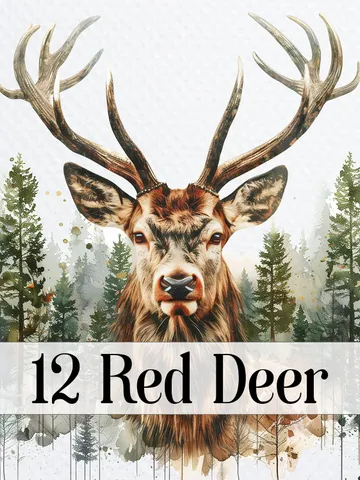 20 Red Deer in Forest PNG Clipart, Watercolor Deer PNG sublimation, Digital download, High resolution, Paper crafts, junk journal $2.64