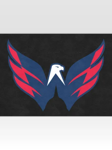 Washington Capitals DoorMat $48.00