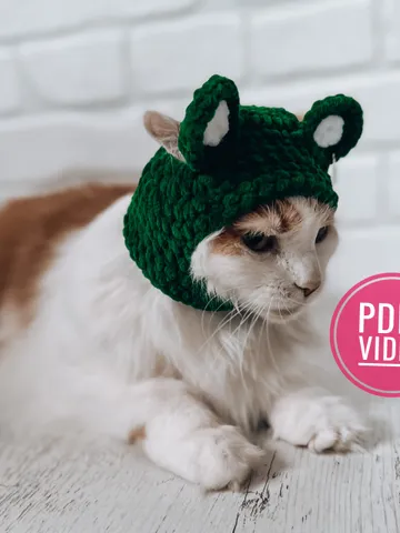 Balaclava with ears for cats and small dogs, crochet pattern PDF, digital instant download, video tutorial, winter hat for pets, ski mask $4.50