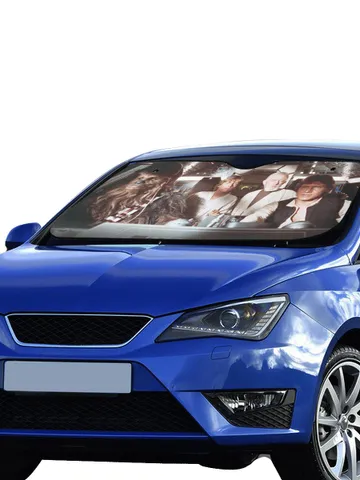 Han and Chewie SunShade $39.97