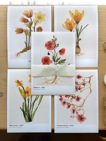 Postcards TRANSPARENT FLOWERS (gray), Set of 5 cards